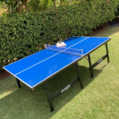 Ping Pong Tenis De Mesa em Águas Claras DF