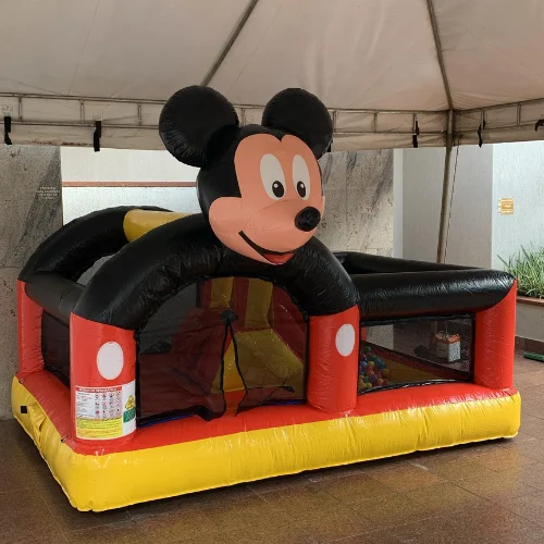 Pocket Mickey Mouse no DF