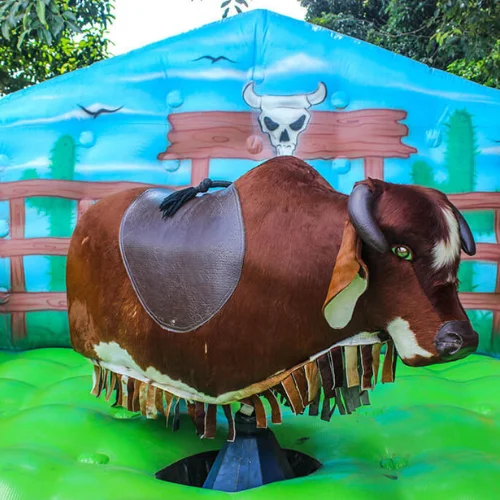 Touro Mecânico em Arniqueiras DF